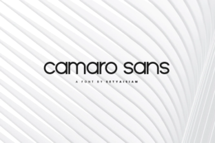 Camaro: A Timeless Typeface for Modern Design