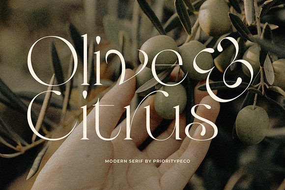 Olive Citrus: A Timeless Serif for Modern Branding and Design